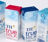 Lắp Đặt Kho Lạnh Tại Công Ty Sữa TH